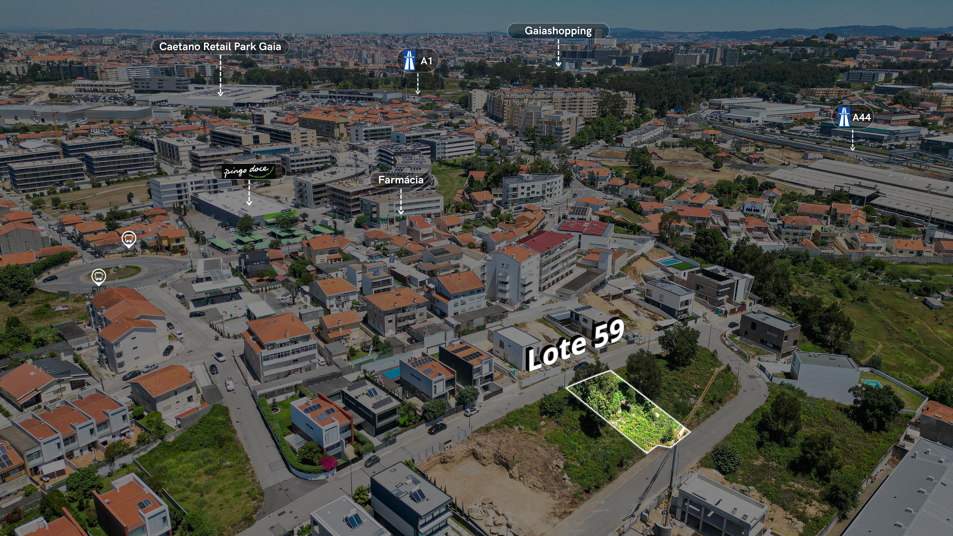 Lote 59 Maninho - 4