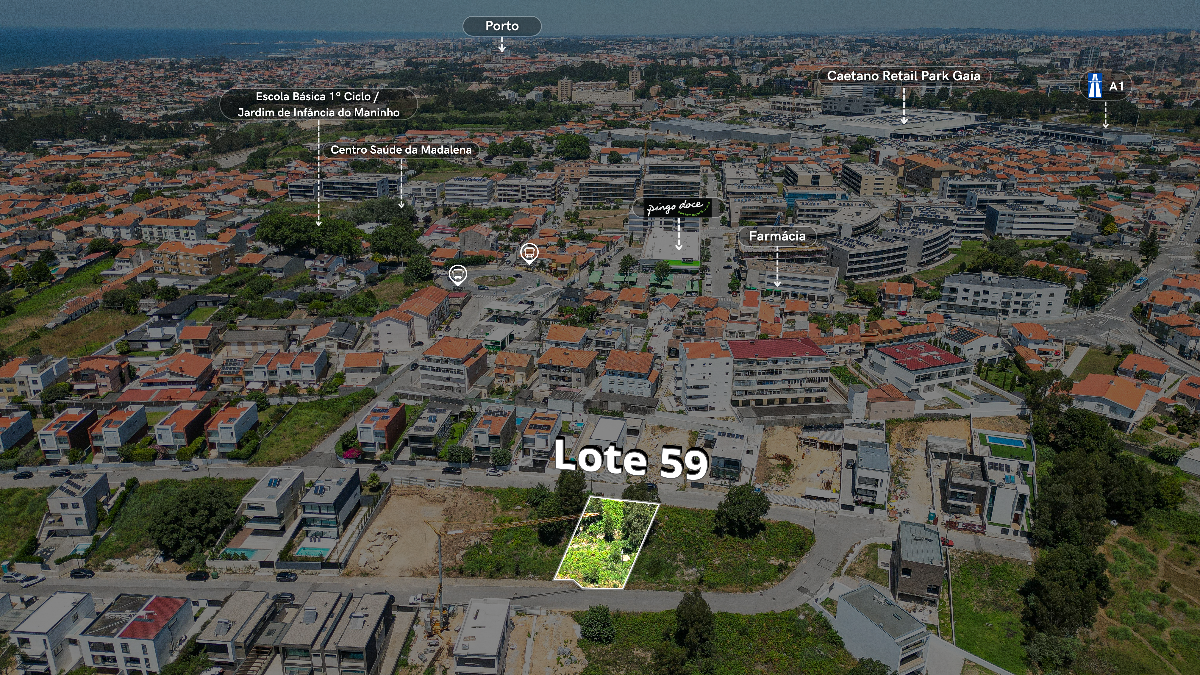 Lote 59 Maninho - 3